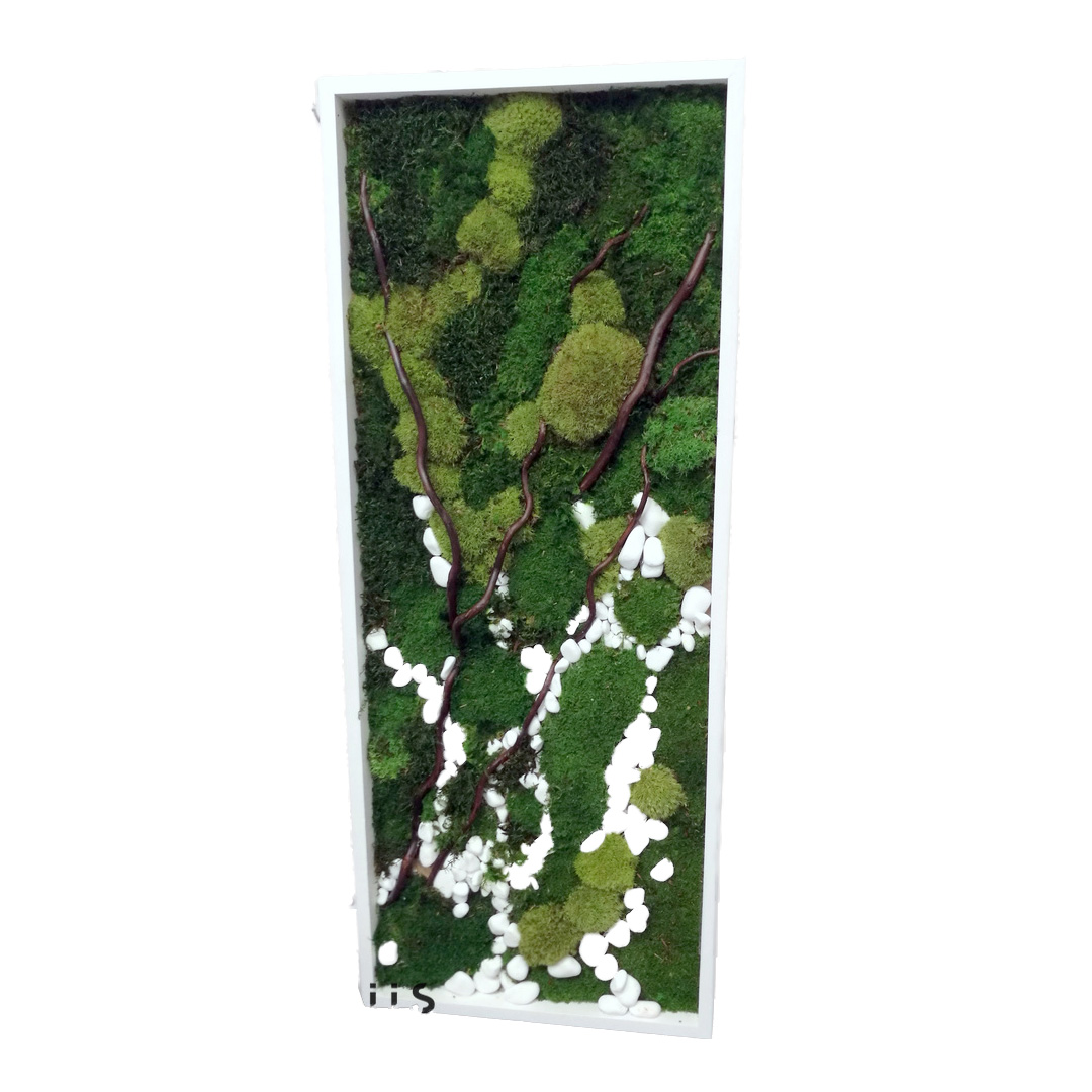Zielony obraz z mchów stabilizowanych 100x40 cm