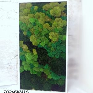 Zielony obraz z mchów stabilizowanych