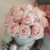 Flower box Blady róż
