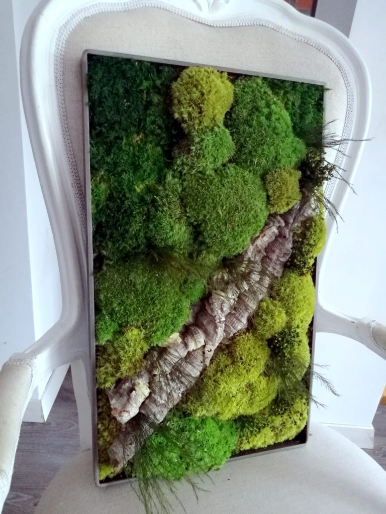 Obraz z mchu stabilizowanego Poszycie leśne 50x30 cm