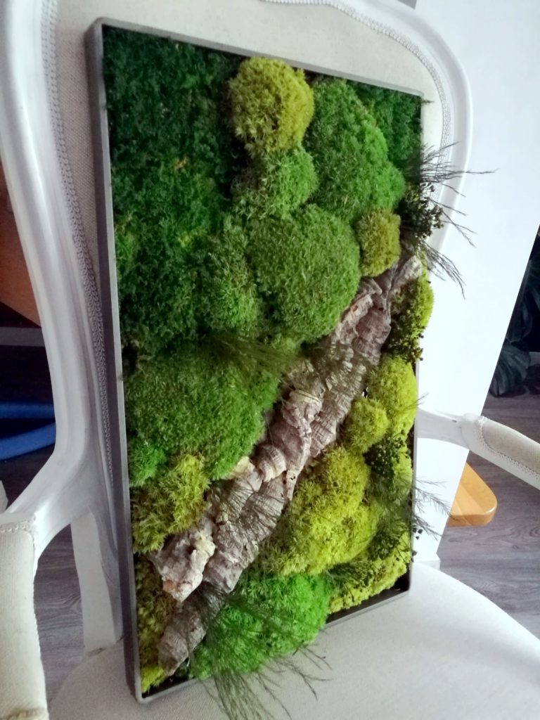 Obraz z mchu stabilizowanego Poszycie leśne 50x30 cm