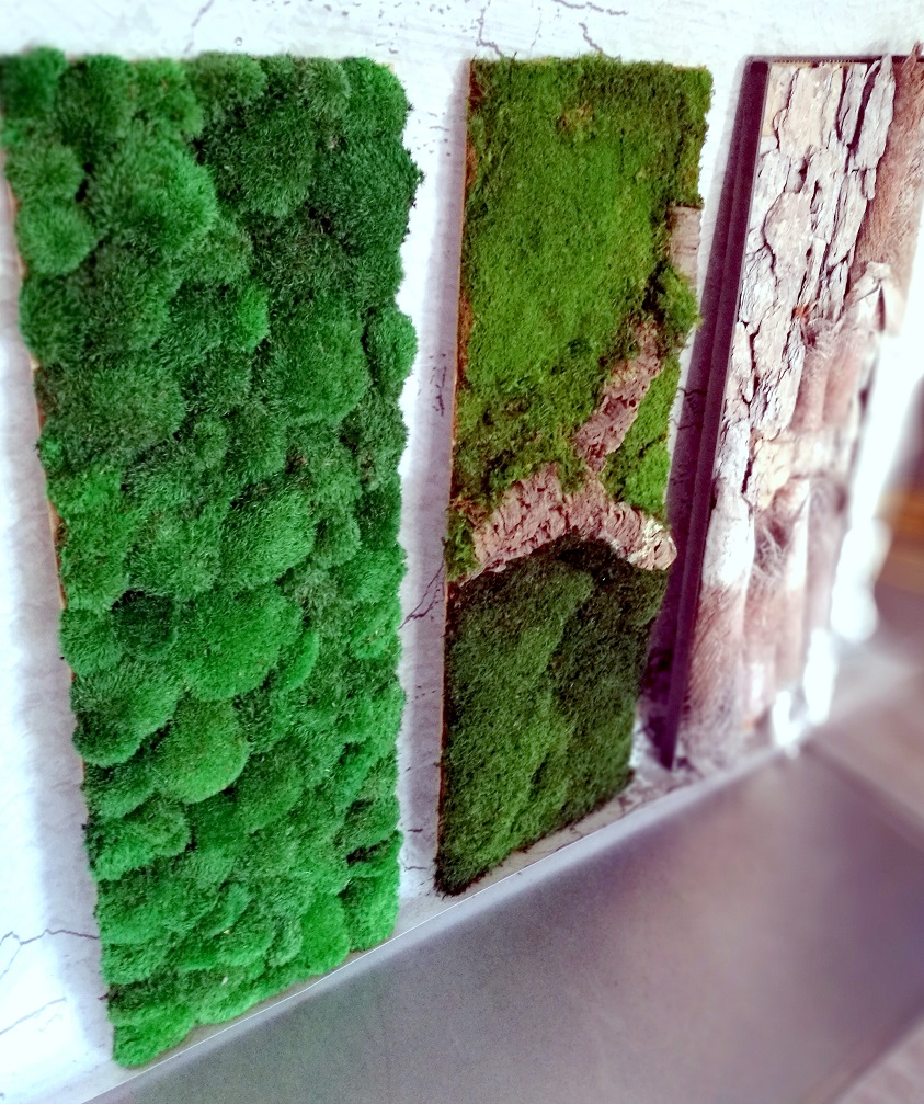 Obrazy z mchu stabilizowanego Natura 100 cm x35 cm kpl.