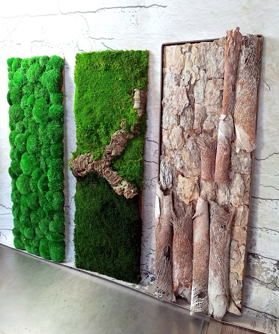 Obrazy z mchu stabilizowanego Natura 100 cm x35 cm kpl.