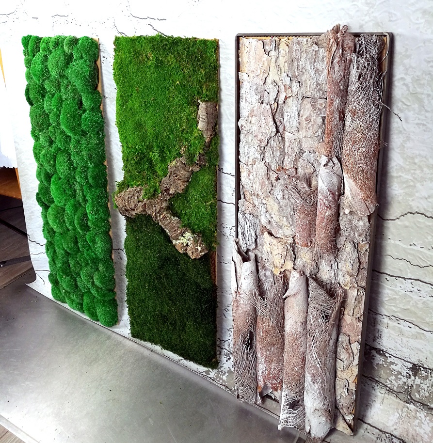 Obrazy z mchu stabilizowanego Natura 100 cm x35 cm kpl.