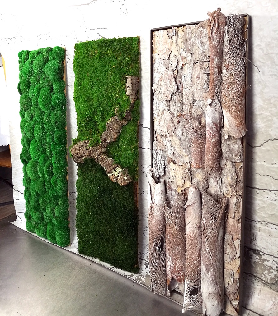 Obrazy z mchu stabilizowanego Natura 100 cm x35 cm kpl.