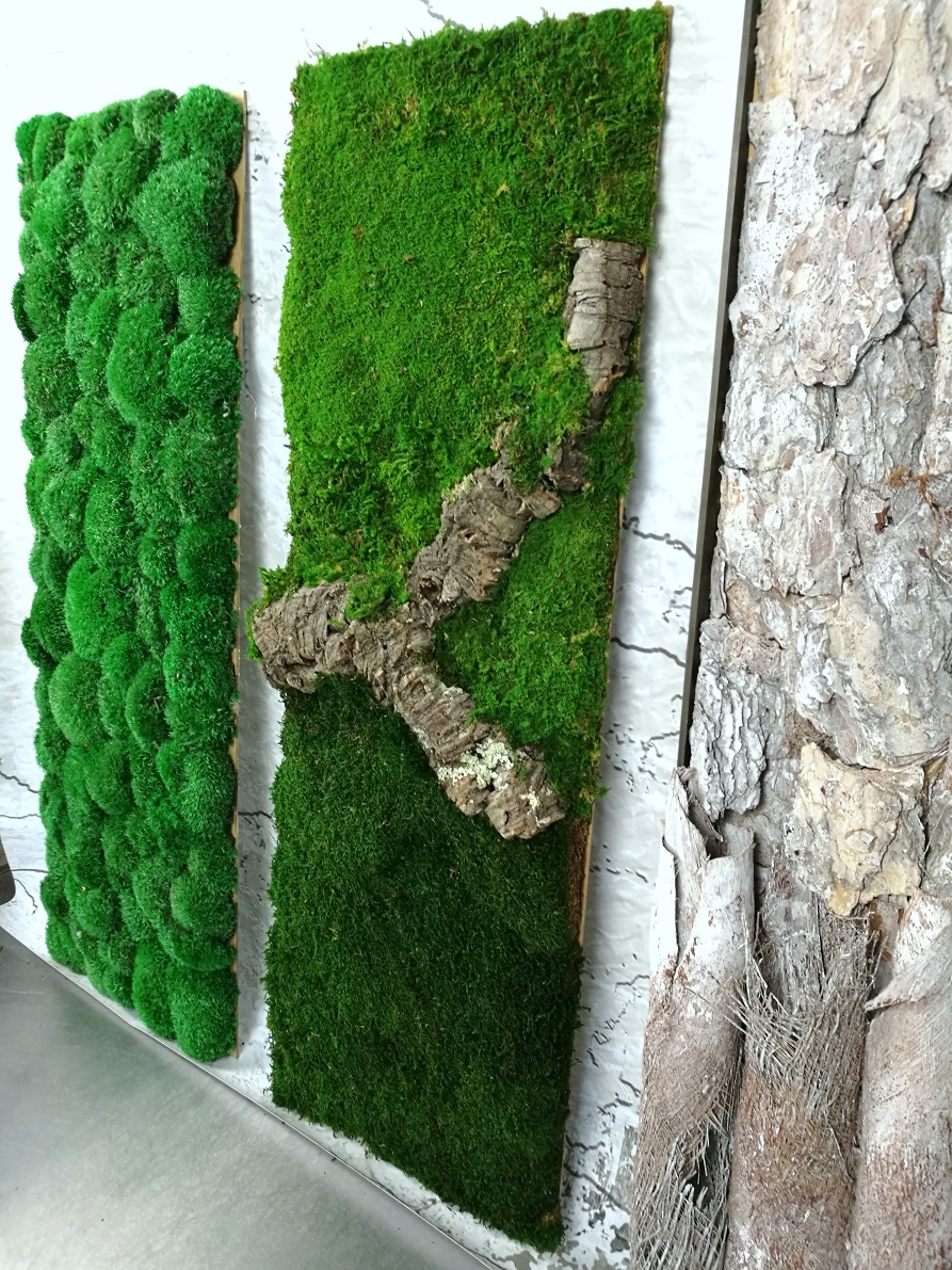 Obrazy z mchu stabilizowanego Natura 100 cm x35 cm kpl.