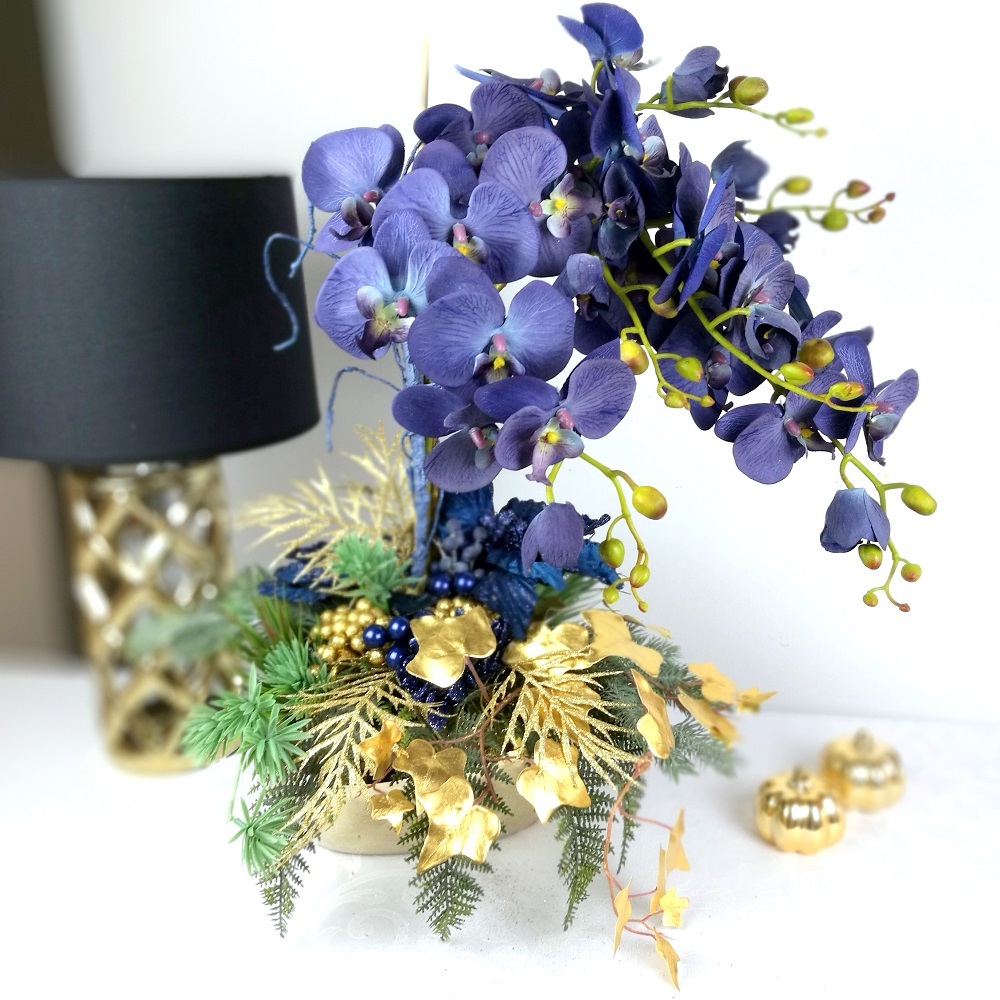 Piękny Storczyk Pierwsza Gwiazdka nr 250