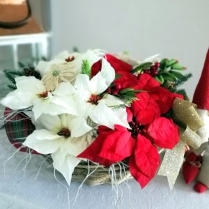 Gwiazda betlejemska w koszu nr 266