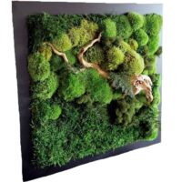 Obraz z mchu stabilizowanego 53 x 53 cm