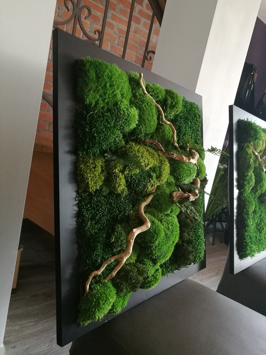 Obraz z mchu stabilizowanego 53 x 53 cm