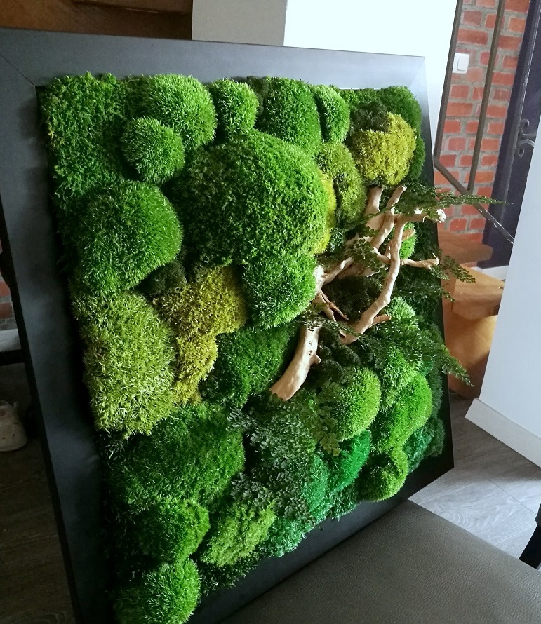 Obraz z mchu stabilizowanego 53 x 53 cm