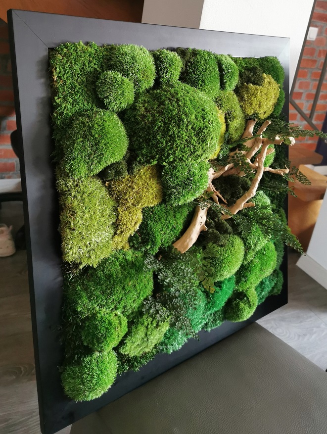 Obraz z mchu stabilizowanego 53 x 53 cm