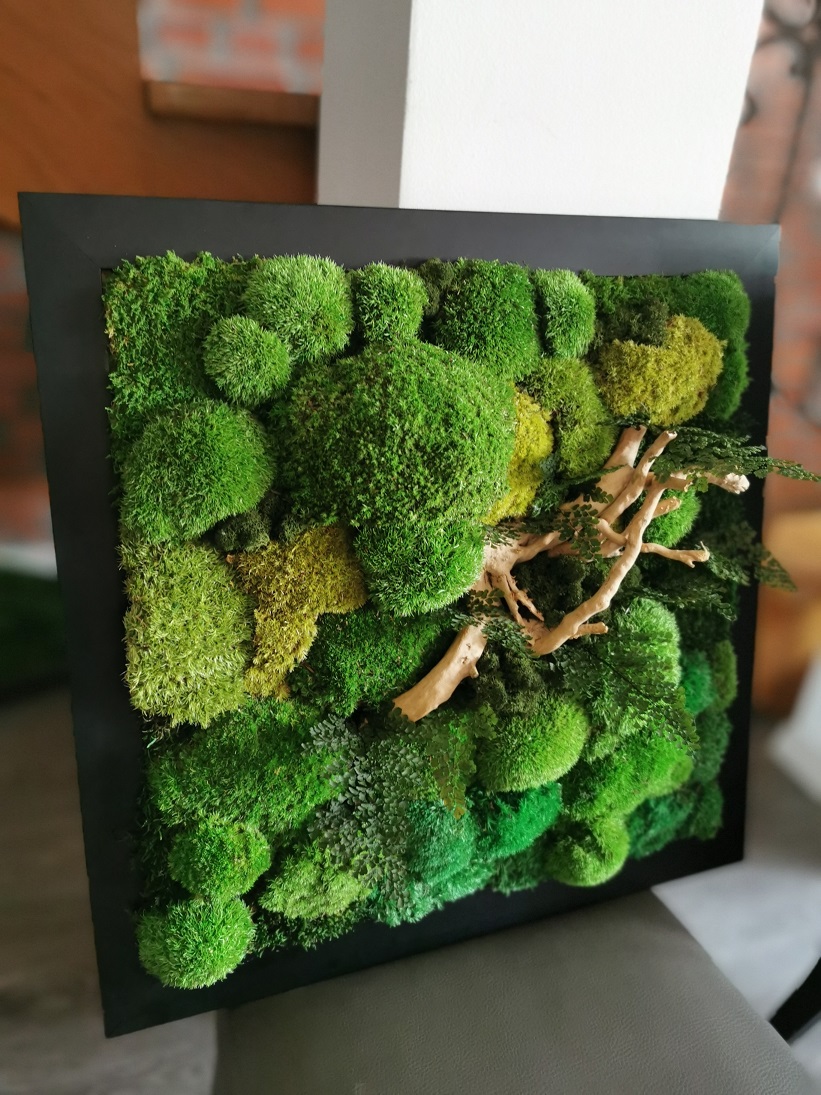 Obraz z mchu stabilizowanego 53 x 53 cm