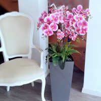 Różowe storczyki w szarej donicy nr 359