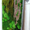 Obraz z mchu stabilizowanego 97 x 67 cm