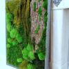 Obraz z mchu stabilizowanego 97 x 67 cm