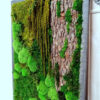 Obraz z mchu stabilizowanego 97 x 67 cm