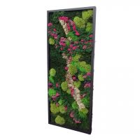 Obraz z mchów stabilizowanych typu Fantazja 100 x 40 cm