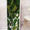 Zielony obraz z mchów stabilizowanych 100x40 cm