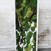 Zielony obraz z mchów stabilizowanych 100x40 cm