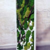 Zielony obraz z mchów stabilizowanych 100x 40 cm