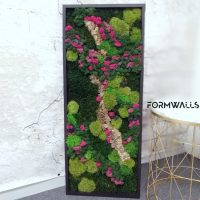 Obraz z mchów stabilizowanych typu Fantazja 100 x 40 cm