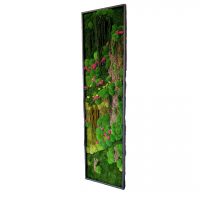 Obraz z mchów stabilizowanych typu Fantazja 210 x 55 cm