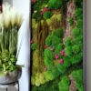 Obraz z mchów stabilizowanych typu Fantazja 210 x 55 cm