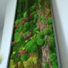 Obraz z mchów stabilizowanych typu Fantazja 210 x 55 cm