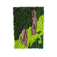 Obraz z chrobotka reniferowego 70 x 50 cm