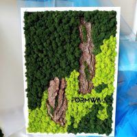 Obraz z chrobotka reniferowego 70 x 50 cm