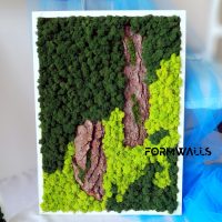 Obraz z chrobotka reniferowego 70 x 50 cm