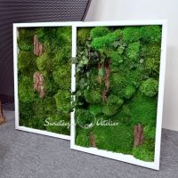 Dwa obrazy z mchu stabilizowanego 60 x 40 cm