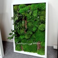 Obraz z mchu stabilizowanego 60 x 40 cm