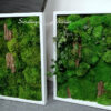 Dwa obrazy z mchu stabilizowanego 60 x 40 cm