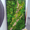 Obraz z mchów stabilizowanych 160 x 100 cm typu Poszycie leśne
