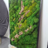 Obraz z mchów stabilizowanych 160 x 100 cm typu Poszycie leśne