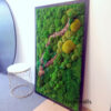 Obraz z mchów stabilizowanych 160 x 100 cm typu Poszycie leśne 2 Obraz z mchów stabilizowanych 160 x 100 cm typu Poszycie leśne 2 to piękna, naturalna ozdoba wnętrza. Tę dekorację osadziliśmy w czarnej, drewnianej ramie. Całość wykonano z kilku gatunków z mchu stabilizowanego płaskiego i poduszkowego.  Obraz został wykonany całkowicie z naturalnych elementów, które tworzą atrakcyjny efekt 3D. Jest to przepiękna dekoracja, więc każdemu wnętrzu nada wyjątkowy charakter. Można ją zastosować zarówno w przestrzeni publicznej jak i domowej. Wymiary obrazu z mchu: 160 x 100 cm