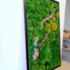 Obraz z mchów stabilizowanych 160 x 100 cm typu Poszycie leśne 2 Obraz z mchów stabilizowanych 160 x 100 cm typu Poszycie leśne 2 to piękna, naturalna ozdoba wnętrza. Tę dekorację osadziliśmy w czarnej, drewnianej ramie. Całość wykonano z kilku gatunków z mchu stabilizowanego płaskiego i poduszkowego.  Obraz został wykonany całkowicie z naturalnych elementów, które tworzą atrakcyjny efekt 3D. Jest to przepiękna dekoracja, więc każdemu wnętrzu nada wyjątkowy charakter. Można ją zastosować zarówno w przestrzeni publicznej jak i domowej. Wymiary obrazu z mchu: 160 x 100 cm