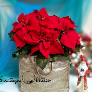 Gwiazda betlejemska w srebrzystej torbie nr 1100